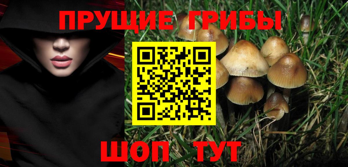 Псилоцибиновые грибы мухоморы  где найти   Галлюциногенные грибы Magic Shrooms  Усть-Джегута  Вход с VPN 